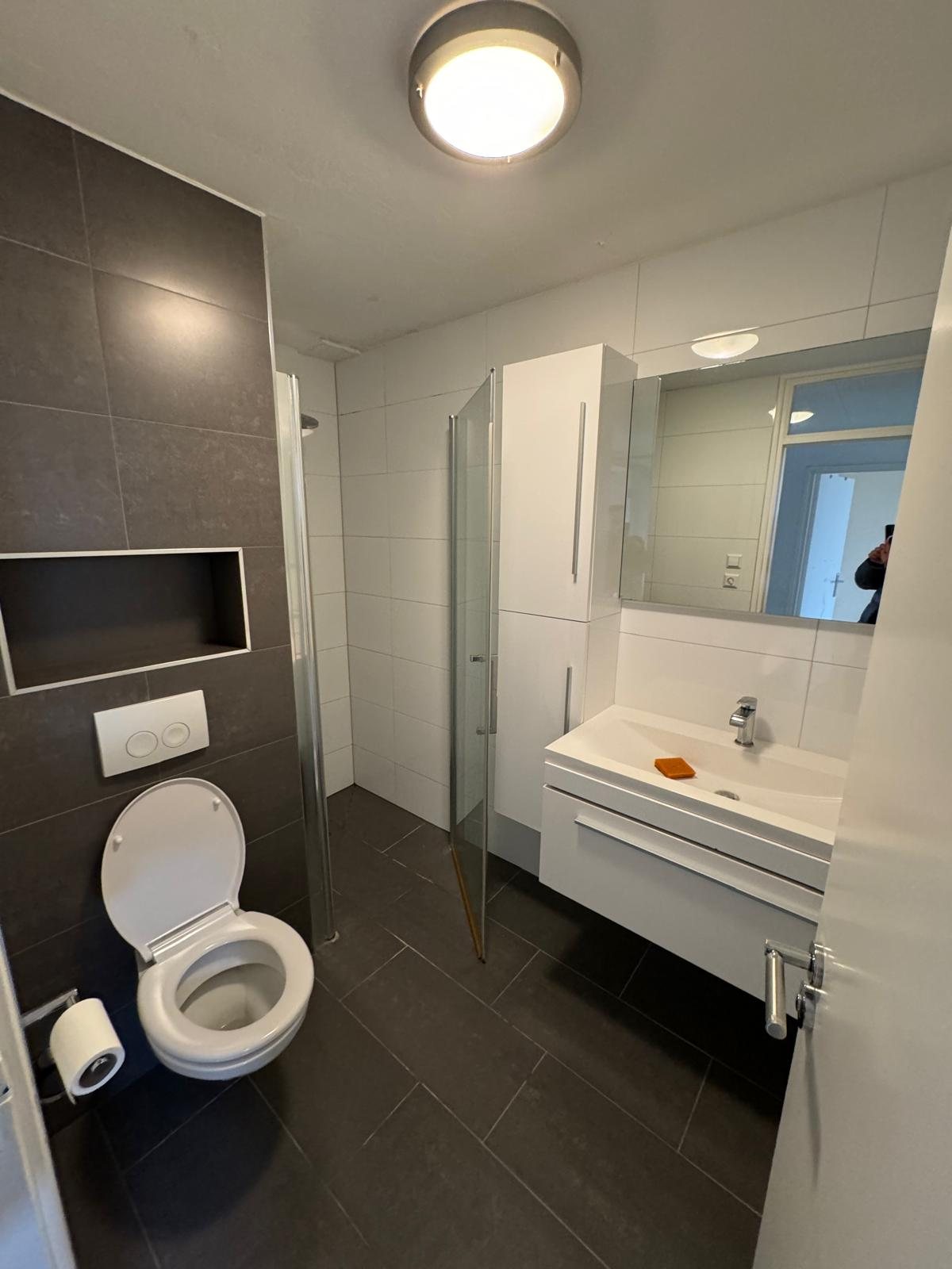De oude badkamer met donkere tegels